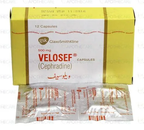 فيلوسيف 500مجم 16 كبسولة