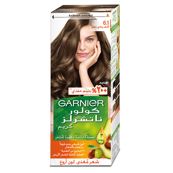 GARNIEG DARK ASH BLONDE 6-1