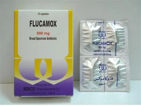 فلوكاموكس 500مجم 12 كبسولة